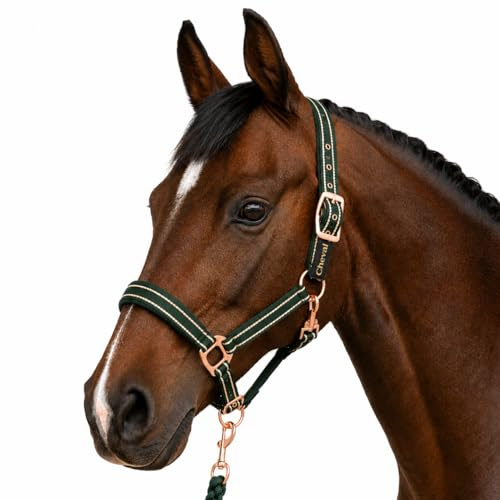 Halfter für Pferde mit Glitzer in Rosegold, Halfter Pferd in schwarz und pink, 2-Fach verstellbar (Grün Rosegold, Warmblut (Full))