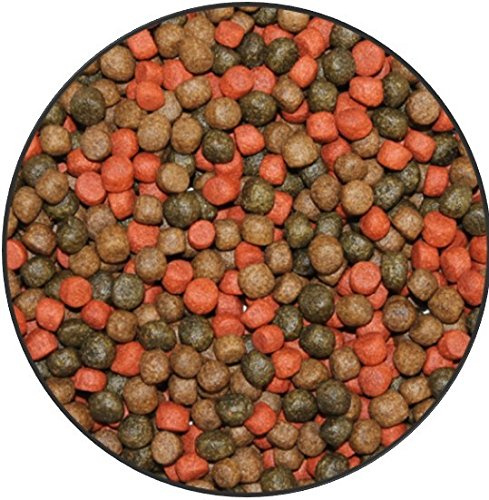 Wohnkult TOP Premium Koifutter 3 Sorten Mix in 3 mm und 6 mm 5 Liter und 10 Liter Spirulina Knoblauch Color Teich Koi Goldfisch Stör (3 er Mix 6 mm / 10 Liter)