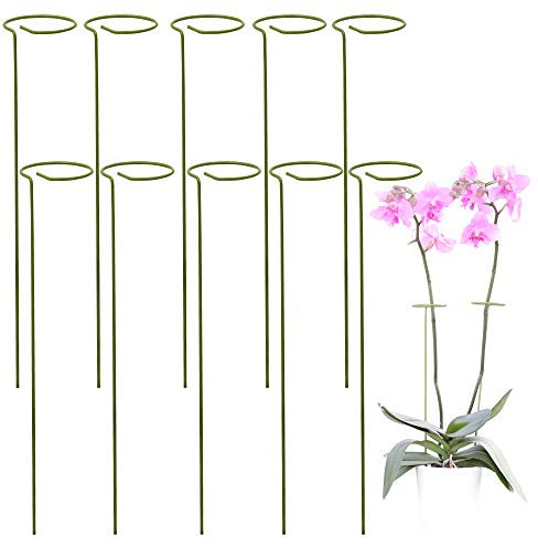 10 Pack Plant Supports for Garden | Help Your Flowers Grow | Plant Support Sticks for Plants and Flowers | Garden Sticks | Tomato Cages | Plant Stakes for Orchid, Amaryllis, Roses, Peony and More