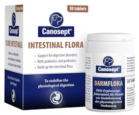 Canosept Darmflora Hund - Präbiotika & Probiotika Hund - Zur Stabilisierung der physiologischen Verdauung - Hund Darmflora Aufbauen - Darmsarnierung Hund - Darmkur Hund - 30 Tabletten | Präbiotika & Probiotika zur Stabilisierung der physiologischen Verdauung, Hund Darmflora Aufbauen, Darmkur