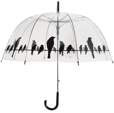 Origineller Transparenter Regenschirm mit Vögelchen auf Drahtseil - Leicht, Stabil & Windfest - Rundumsicht bei Regen