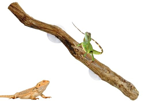 Kletterzweig für Schlangen – Faltbare Weinreben für Terrarium, Reptilienlebensraumdekoration, realistisches Kletterwort des Dschungels, Accessoire aus natürlichem Zweig, flexible Verzierung
