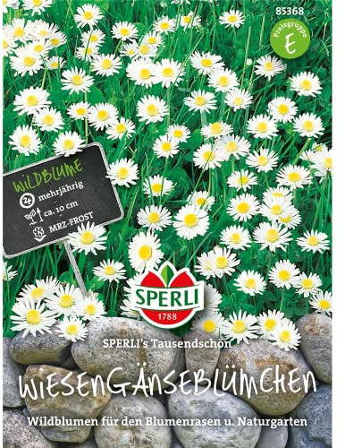 Sperli 85368 Wiesengänseblümchen (Gänseblümchensamen)