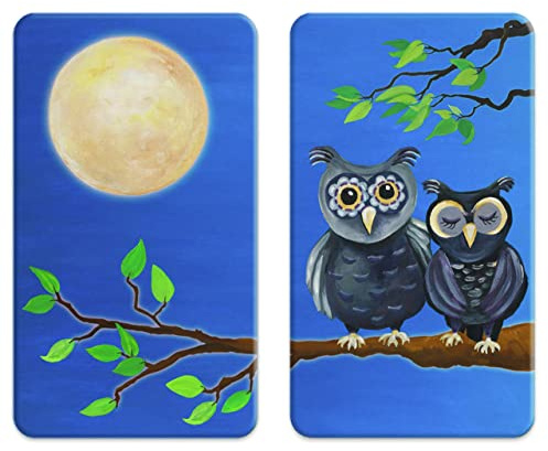 WENKO Herdabdeckplatte Universal Eule, 2er Set Herdabdeckung für alle Herdarten, Gehärtetes Glas, 30 x 52 cm, Mehrfarbig