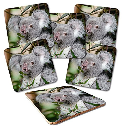 ADDIES Glas-Untersetzer 6-TLG.Set Bedruckt Motiv KOALA-04 in hochwertiger Klarsicht-Geschenkbox und Korkrückseite