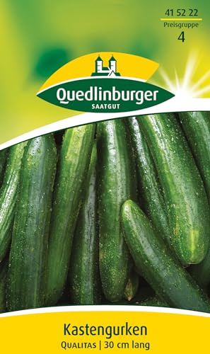 Kastengurke, Qualitas