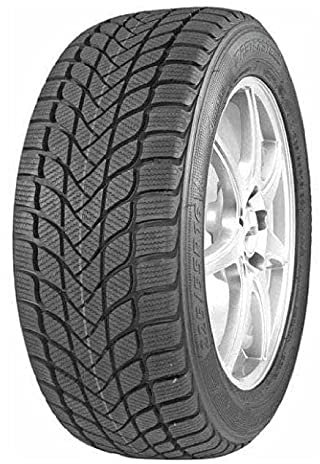 Mastersteel Winter Plus 205/55R16 91H ML