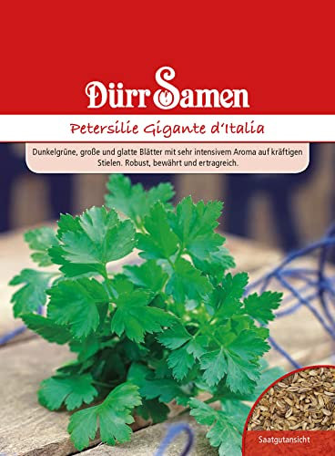Dürr-Samen - Petersilie Gigante dItalia Saatgut