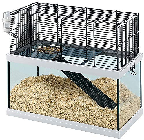 Ferplast 57056417W1 Glasheim für Rennmäuse GABRY 50, inklusive Zubehör, Maße: 52 x 27 x 44 cm
