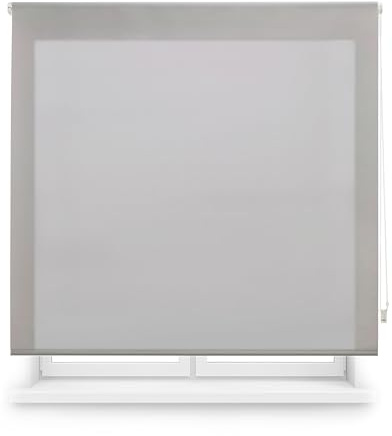 Blindecor Transparentes Rollo nach Maß | Rollo nach Maß | Grau | 60 x 250 cm (Breite x Höhe) Stoffgröße 57 x 245 cm | lichtdurchlässige Rollos für Fenster