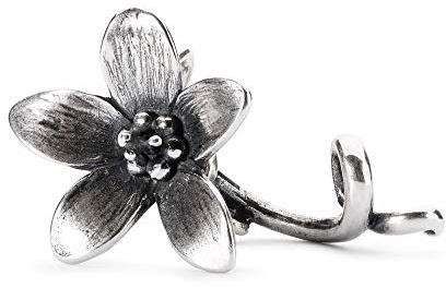 Trollbeads Damen-Charm 925 Silber-TAGPE-00061
