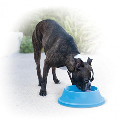 CLIMSOM - Gamelle pour Grand Chien Qui Garde l'eau Fraiche Plusieurs Heures - Gamelle Rafraichissante XL,1Litre