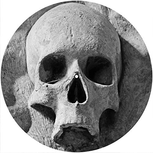 Slipmat Slip Mat Scratch Pad Filz für jeden 12 LP DJ Vinyl Plattenspieler Custom Graphical - Skull Rock