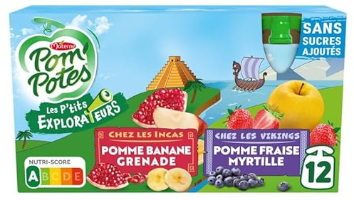 PomPotes Compote Gourdes Sans Sucres Ajoutes - Les Ptits Explorateurs - 1080g - Consommation nomade et saine - Lot De 3