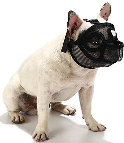 PETEMOO Maulkorb für Hunde mit abgeflachter Schnauze-verstellbar, atmungsaktiv: Englische Bulldogge, Französische Bulldogge, Pekingese, Shih-Tzu, Mops, auch für Katzen geeignet.