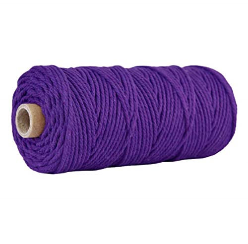 FIZOVER 100 m x 3 mm Makramee-Baumwollschnur, farbiges Seilgarn zum Aufhängen, Pflanzenaufhänger, IY Bastelzubehör, 28,3 mm