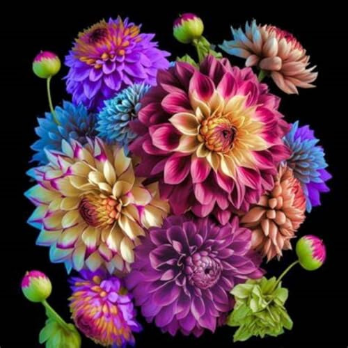 Dalia bulbi,bulbi di dalia gigante,Bulbi Da fiore resistenti,Dalia Fiore,Splendide piante ornamentali per giardini e vasi,Zinnia Pianta(Senza Semi, non artificiali,resistenti)-2bulbi-K