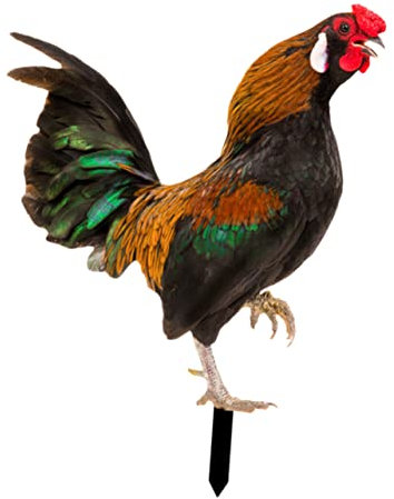 Milisten Acryl-Huhn-stecker Gartendeko Realistisch Stabiles Gartenstecket Inklusiv Spitziger Boden Spitze Für Rasen Beet Outdoor Geeignet Wetterbeständig Lebensechtes Design Für Garten