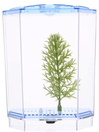 ibasenice Mini Aquarium Transparent pour Bureau et Maison Petit Bocal pour Poissons Terrarium Décoratif pour et Micro