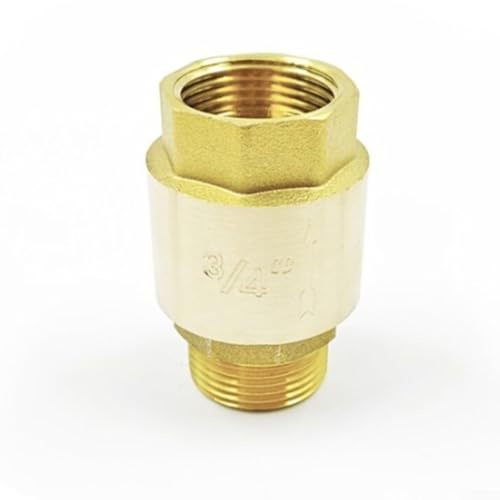 Clapet anti-retour en laiton avec raccord fileté G, adapté pour l'alimentation en eau et les systèmes d'irrigation, conçu pour éviter le refoulement et la sécurité des conduites (intérieur 3/4-185 g)