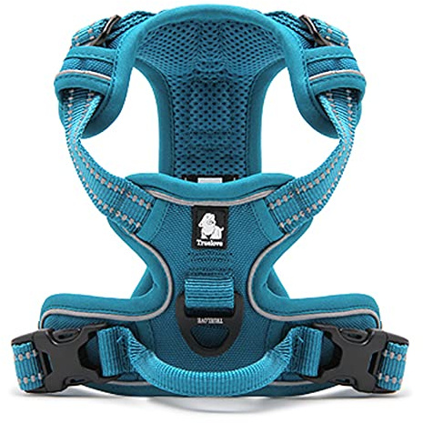WINHYEPET True Love Dog Harness, No-Pull Reflective Pet Harness with 2 Leash Clips Adjustable Soft Padded Dog Vest with Easy Control Handle for Small Medium Large Dog TLH5651(Blue,L)