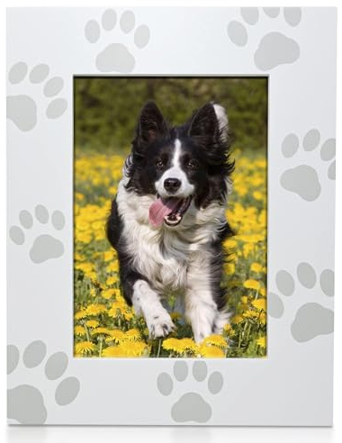 Green Pollywog Screenprinted Paw Print Picture Frame | White Hand-Finished Pinewood | Fits 5” x 7” Photo | Pet Lover Gift