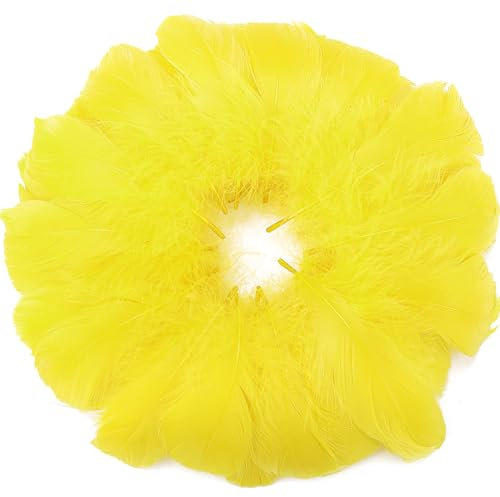 360 gelbe Federn, 7,6–12,7 cm, Bastelfedern, verschiedene Regenbogenfarben, Federn für Kinder, für selbstgemachte Hochzeiten, Zuhause, Partys, Dekorationen, natürliche Federn