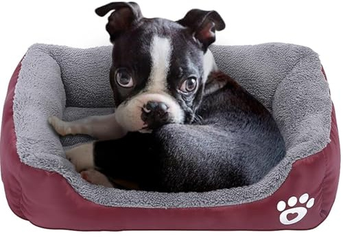 powerking Lit pour Chien, Coussin de Tapis imperméable pour Animal de Compagnie et Coussin de Couchage pour Chat Kitty et Petit Chien Chiot, Doux et Lavable(Rouge)