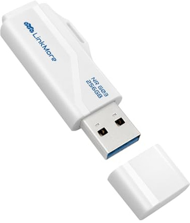 LinkMore NR G03 Chiave USB 3.2 Gen2 256 GB, Velocità di Lettura fino a 100 MB/s