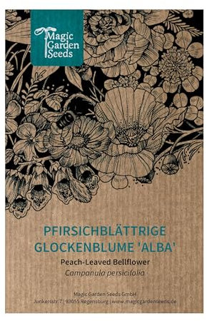 Pfirsichblättrige Glockenblume 'Alba' (Campanula persicifolia) ca. 750 Samen der mehrjährigen Staude, Schnittblume, Rosenbegleitpflanze