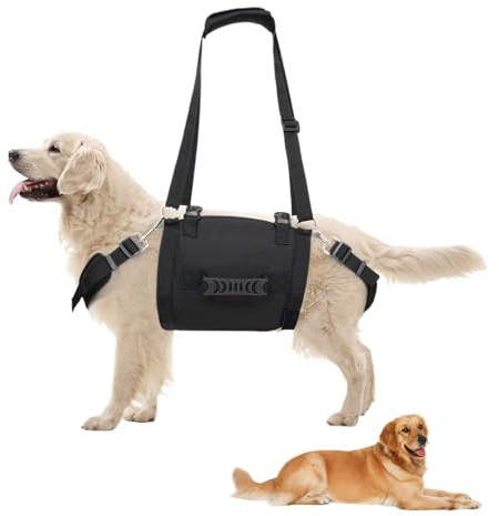hundsele, valpsele, Justerbar hundsele med kontrollhandtag, Hundvästsele med kontrollhandtag, husdjurssele utan choke för små medelstora hundar