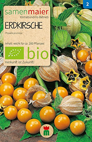 BIO Erdkirsche Samen - Ananaskirsche, Höhe 40-60 cm, einjährig, samenfestes Saatgut aus kontrollierter biologischer Landwirtschaft - Inhalt reicht für ca. 30 Pflanzen - Samen Maier