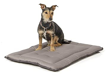Wallace & Jones | Wendedecke pflegeleicht waschbar bis 95°C - gepolsterte Indoor/Outdoor Liegedecke für Hunde | Hundedecke - 75 x 55 cm - Hellgrau/Dunkelgrau