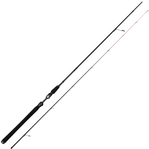 Westin Raubfischrute zum Barschangeln & Zanderangeln mit Softbaits 248cm M 7-28g W3 Finesse Jig 2nd