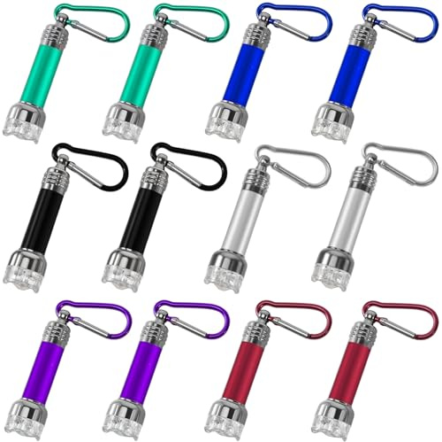 Lot de 12 lampes de poche LED porte-clés pour enfants, mini lampe de poche avec mousqueton, porte-clés en aluminium, lampe de poche pour camping, urgences, anniversaires d'enfants, cadeaux de fête