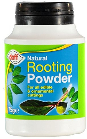 Doff 75G-Ke075 Natural Rooting Powder 75G, White, Packaging May Vary