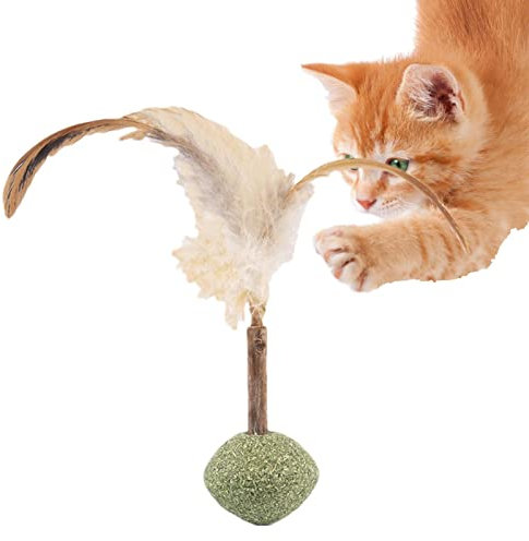 Voihamy Katzenspielzeug Katzenminze - Natürliches Silvervine-Katzenminzenspielzeug - Cat Catnip Ball Toy, Interaktives Katzenspielzeug für Indoor-Katzen, Kitten Cleaning Teeth Molar Tools