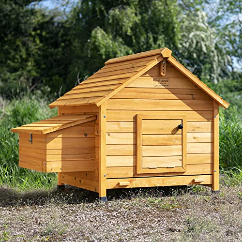 FeelGoodUK Grande Poulailler en Bois avec Pondoir et Perchoir Poulailler 2 Poules avec Rampes d'Accès et Portes verrouillables Grand d'Espace d'Activité Idéal pour Poules Petits Animaux Lapins