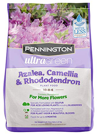 Pennington 100525940 UltraGreen Azalea, Camellia & Rhododendron 10-8-6 Plant Food, 5 lb