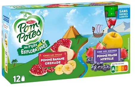 COMPOTE GOURDES SANS SUCRES AJOUTES LES P'TITS EXPLORATEURS , POM'POTES, LOT DE 2