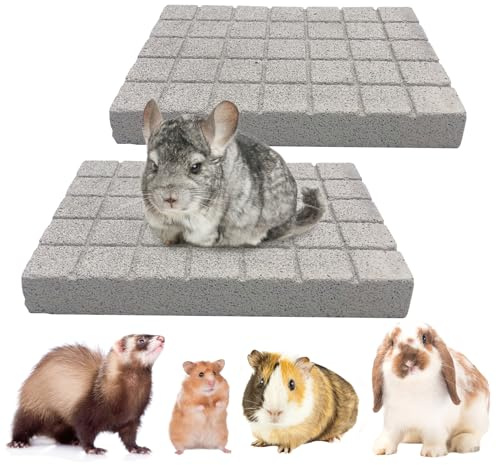BNOSDM 2Pcs Chinchilla Grinding Claw Pads Hamster Scratch Foot Pad Natural Bunny Lava Stone for Teeth Rabbit Scratching Pad Chew Toy for Guinea Pig Ferret Rabbit Mouse(White)