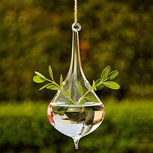 Tropfenform Glas Blume Vase Home Decor Party