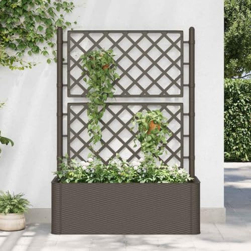 Genérico Arriate con Enrejado y Sistema de riego automático Moca,Casa y jardín,Jardín,Jardinería,Maceteros y jardineras-313968