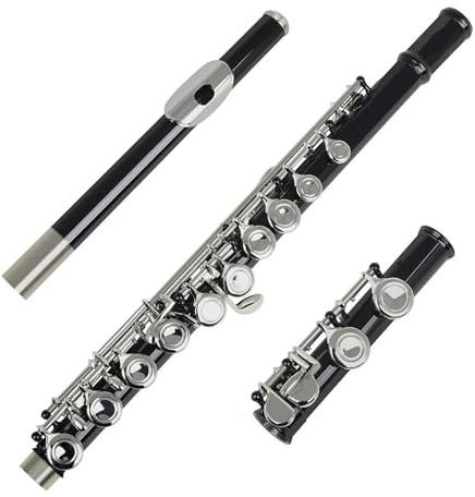 Flauto Do Foro Chiuso Flauto nero Chiave d'argento16 Fori aperti chiusi Chiave C Strumento musicale da concerto per flauto traverso professionale