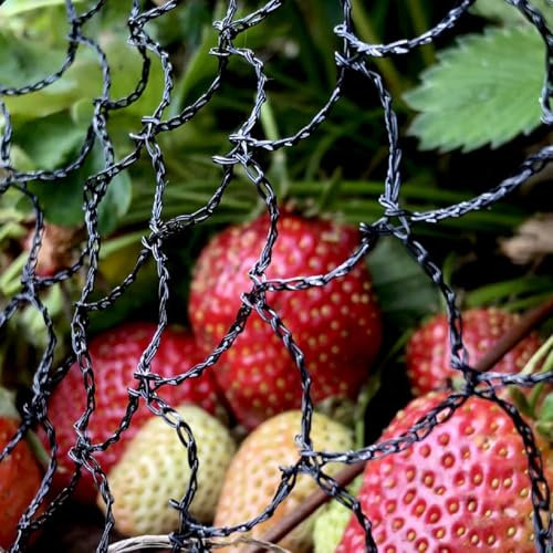 Elixir Gardens ® Bird Crop Fruit Garden Pond Agricultural Protection Netting | 4m x 60m