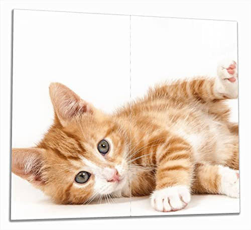 Wallario Herdabdeckplatte/Spritzschutz aus Glas, 2-teilig, 60x52cm mit 13mm hohen Füßen, für Ceran- und Induktionsherde, Süße Katze mit großen Augen - rot weiß getigert