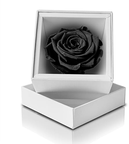 Aluisi Fiori - Rosa Stabilizzata Nera - Cofanetto Bianco - rosa singola eterna adatta per anniversario, compleanno, San Valentino o come decorazione floreale particolare ed elegante.