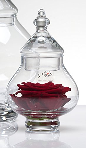 Sandra Rich Glasschale Tin klar rund 17,5 cm Ø 11 cm
