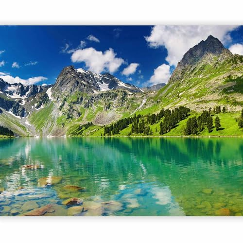murando Fotomurales Montana 350x270 cm XXL Papel pintado tejido no tejido | Decoración de Pared decorativos Murales moderna de Diseño Fotográfico