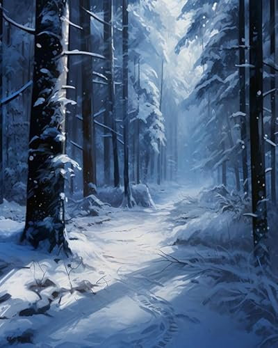 Malen nach Zahlen-Sets zum Selbermachen für Erwachsene, Anfänger,Winter Wald Schnee,Malen-nach-Zahlen-Sets für Erwachsene,Malsets, Leinwandgeschenke, Kunsthandwerk für die Heimdekoration,40x50cm